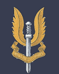 pic for Spinning SAS logo